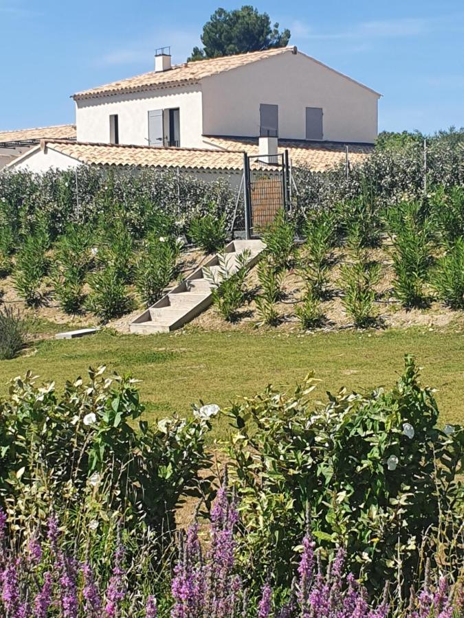 Onze Villa In Provence, Mont Ventoux, New Luxury Villa, Private Pool, Stunning Views, Outdoor Kitchen, Big Green Egg Malaucène Eksteriør billede