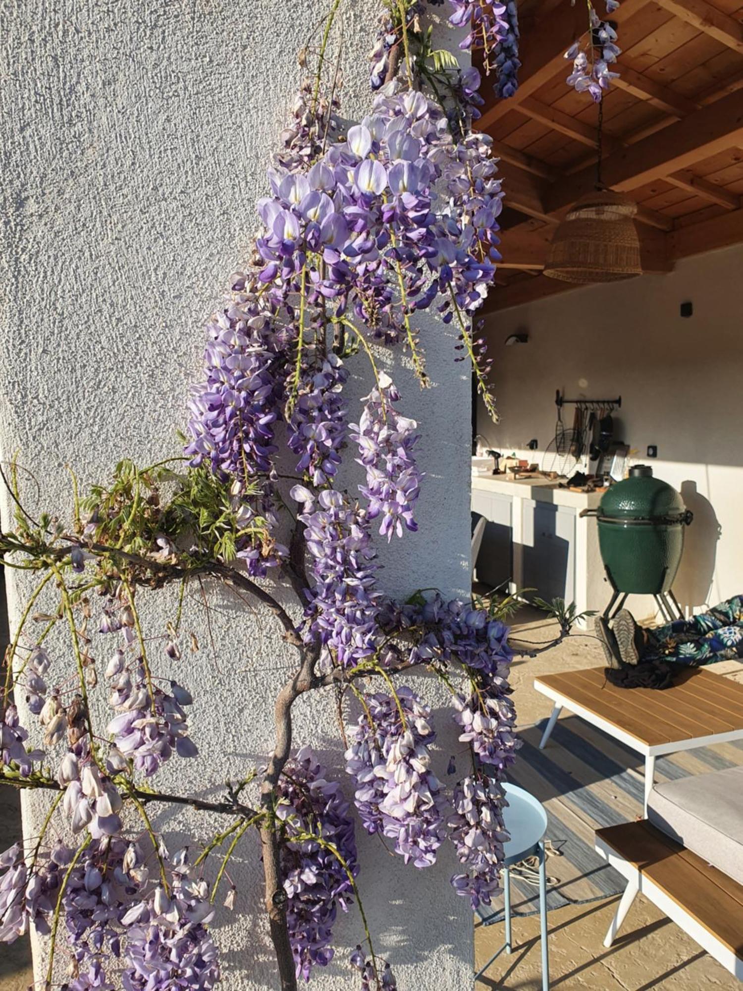 Onze Villa In Provence, Mont Ventoux, New Luxury Villa, Private Pool, Stunning Views, Outdoor Kitchen, Big Green Egg Malaucène Eksteriør billede